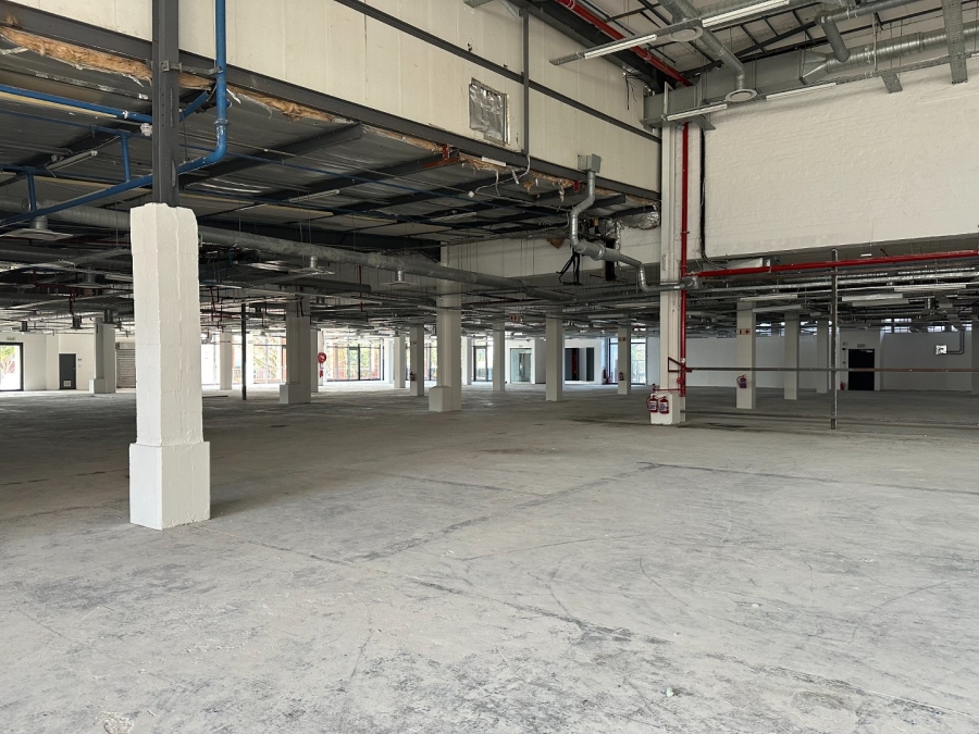 To Let commercial Property for Rent in Observatory Western Cape